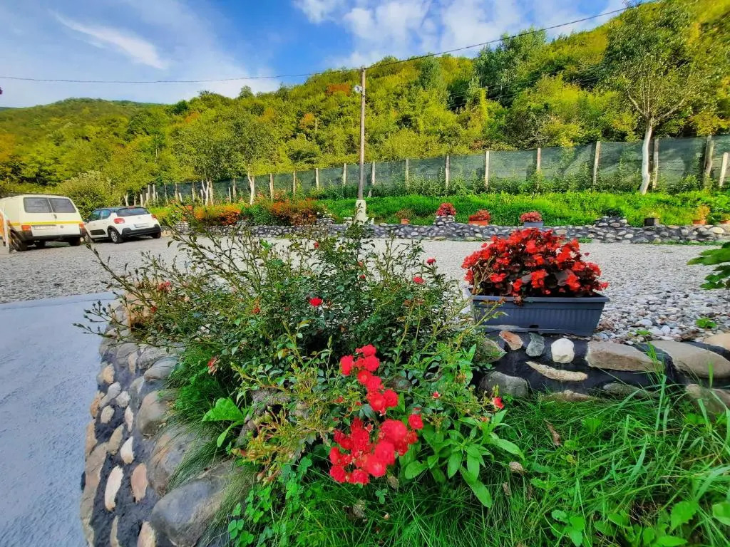 Smeštaj pored Drine