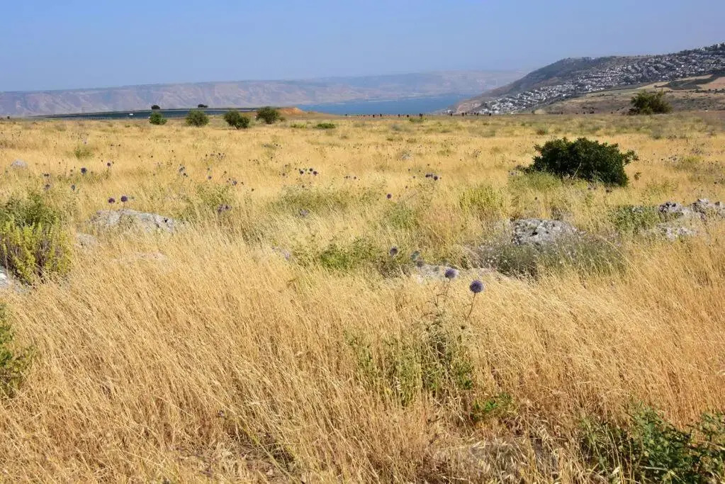 Sea of Galilee Tiberius apartment with panoramic sea view