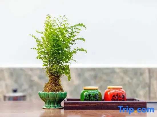 Shuhang·Healing-style Parent-Child Homestay·Yaohu Town Longchi Mountain Scenic Area Store