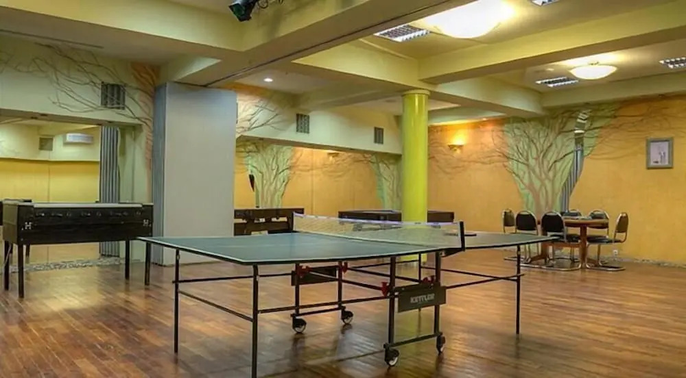 Hotel ARA - Dancing Club Restauracja Kameralne SPA ARA
