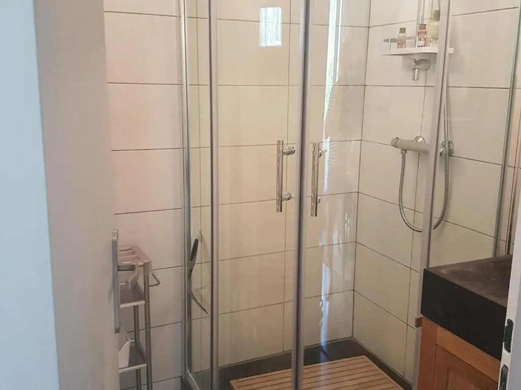 Appartement Chamonix-Mont-Blanc, 2 pièces, 4 personnes - FR-1-517-58
