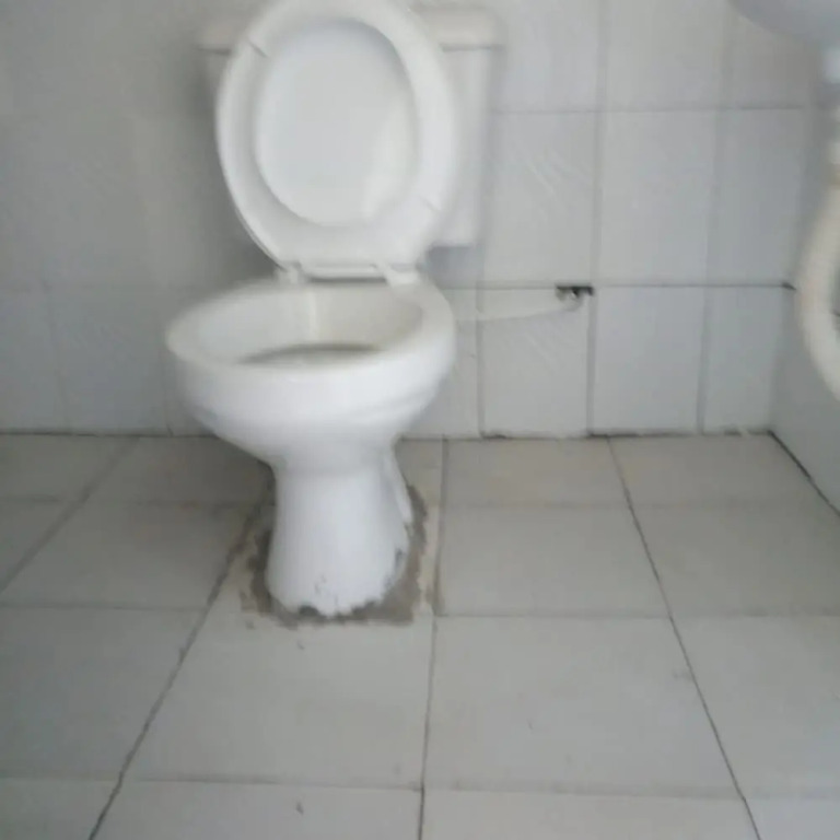 Oldonyo Lodge