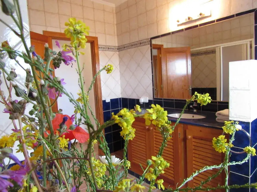 Villa Miguel