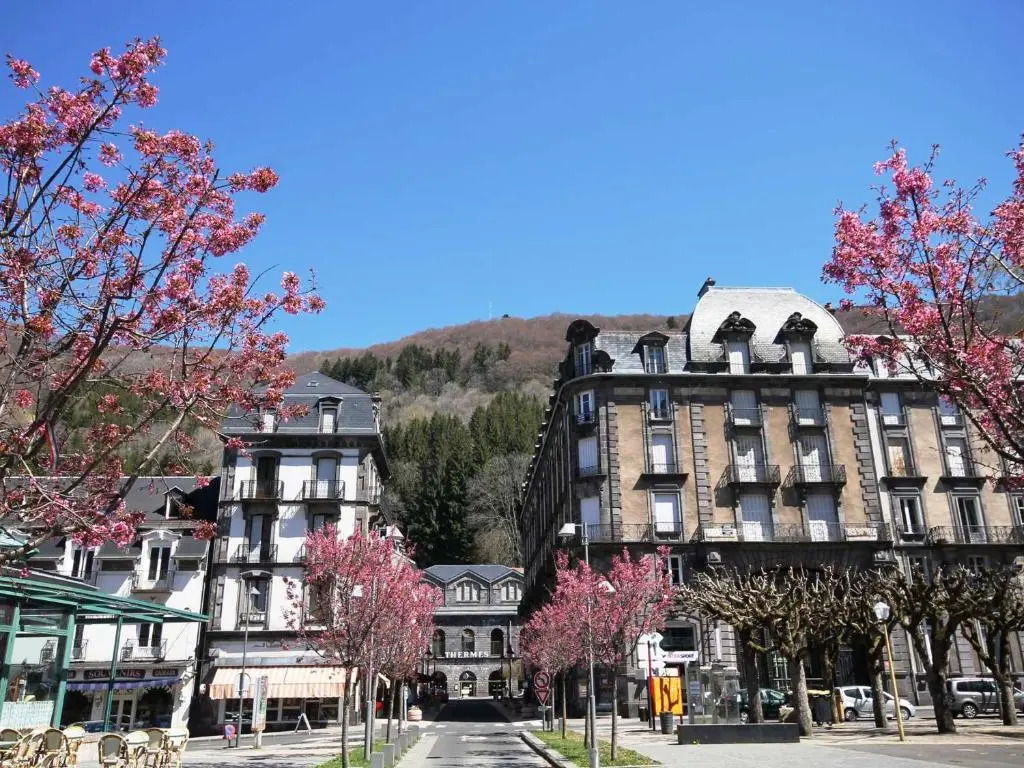 Appartement Mont-Dore, 1 pièce, 4 personnes - FR-1-608-148