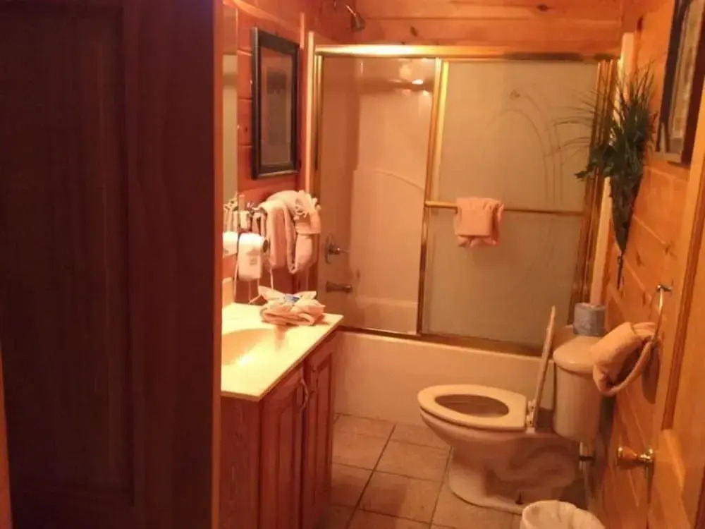 Spacious Party Hut Near Attractions by Redawning
