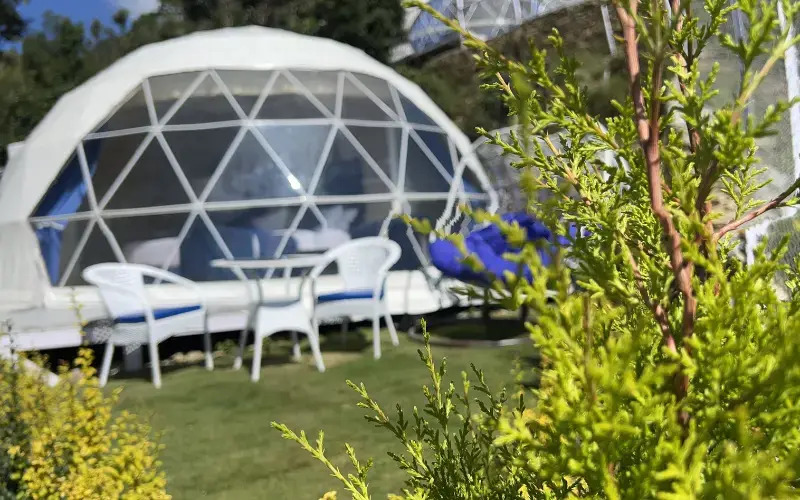 ECO-GLAMP