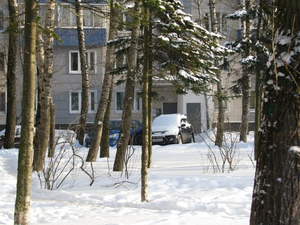 Apartment Elena