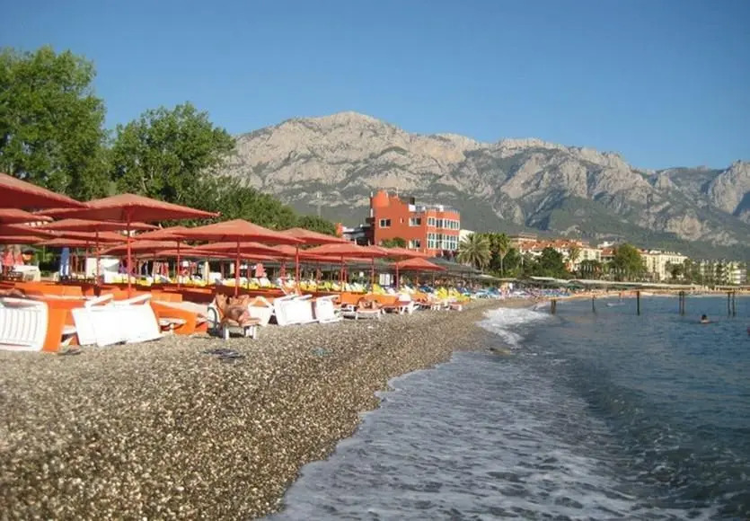 Alerya Hotel