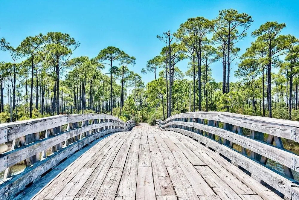 221 Audubon 3 Bedroom Holiday Home By Coastal Dreamin