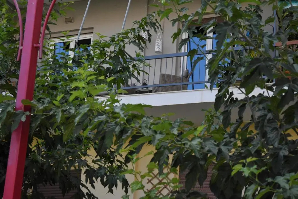 Luxury Apartment In The City Center