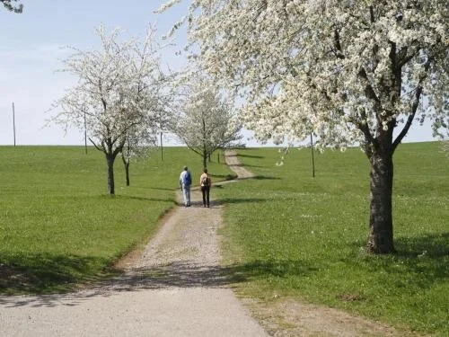 Bürgerstüble
