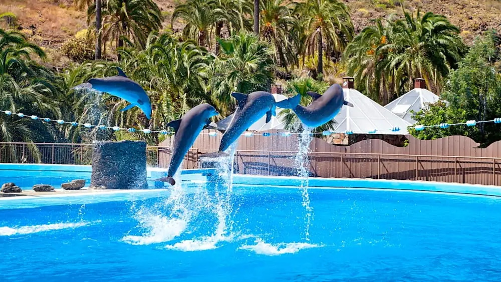 Apartment With 2 Bedrooms in Maspalomas, With Furnished Terrace and Wifi Near the Beach
