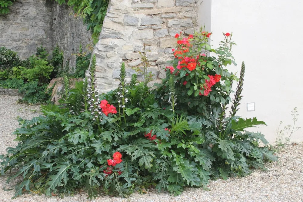 Chambres d'Hotes La Rose