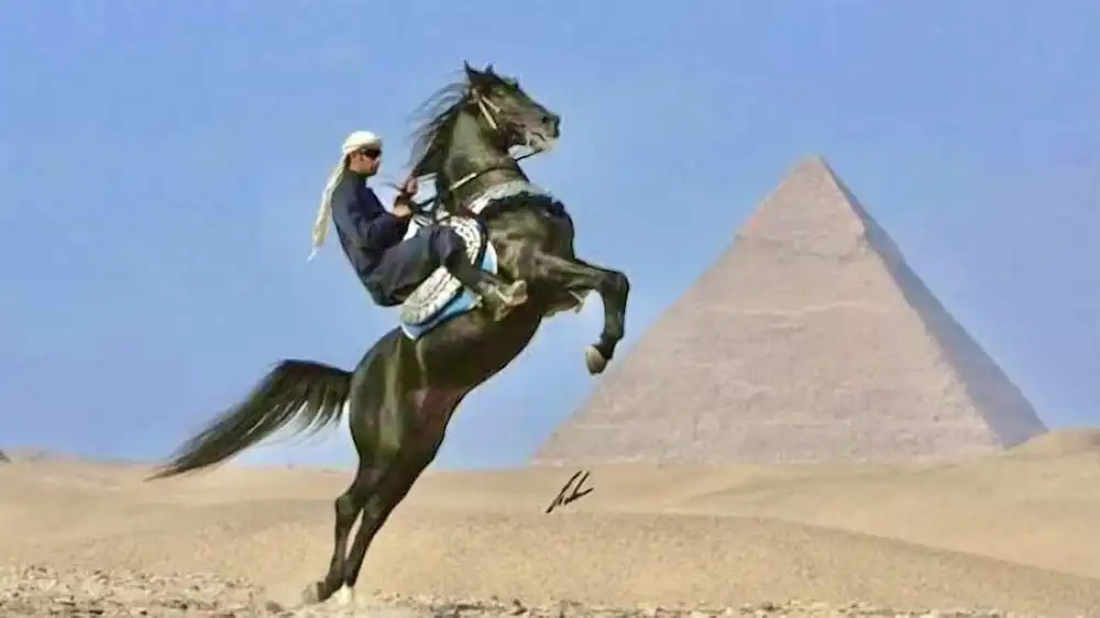 Premier pyramids view