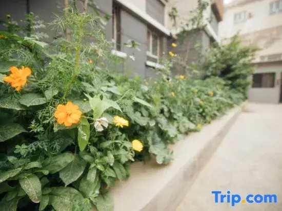 Rujia Yayuan Homestay (Ancient City of Kashgar Scenic Area Aitigar Square)