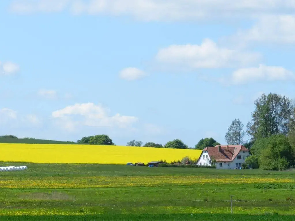 Landhaus Alt Reddevitz