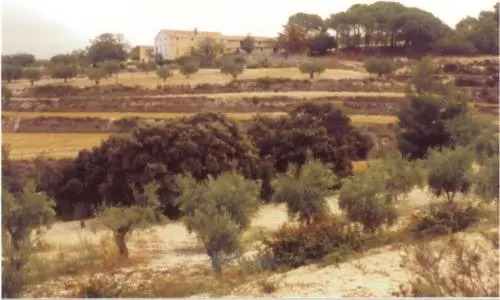 Casa Rural Masía Barbera
