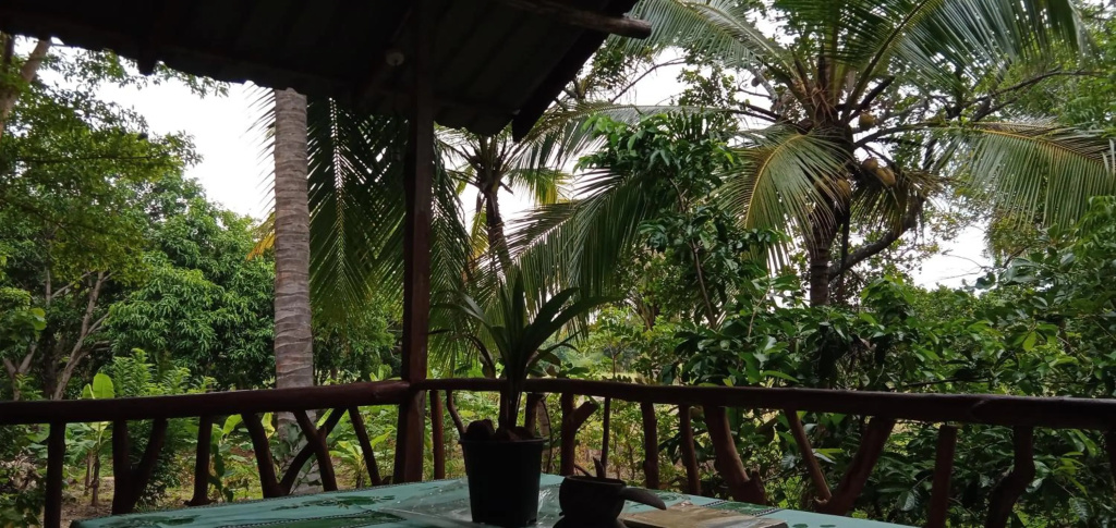 Sigiri Panaromic Tree House