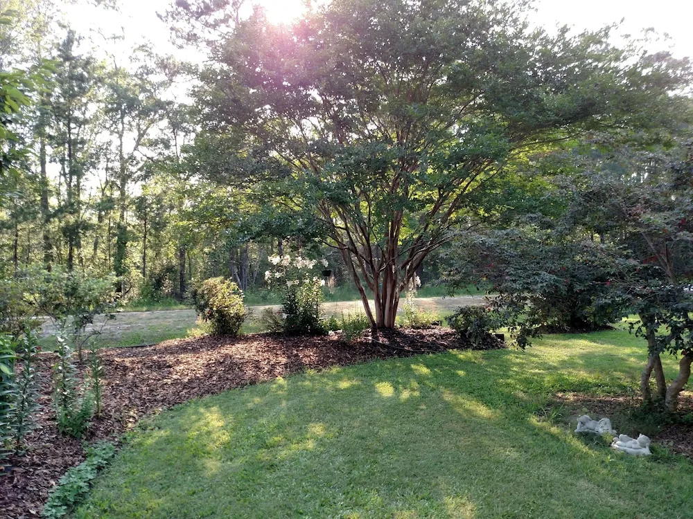 Four Mile Bed & Breakfast