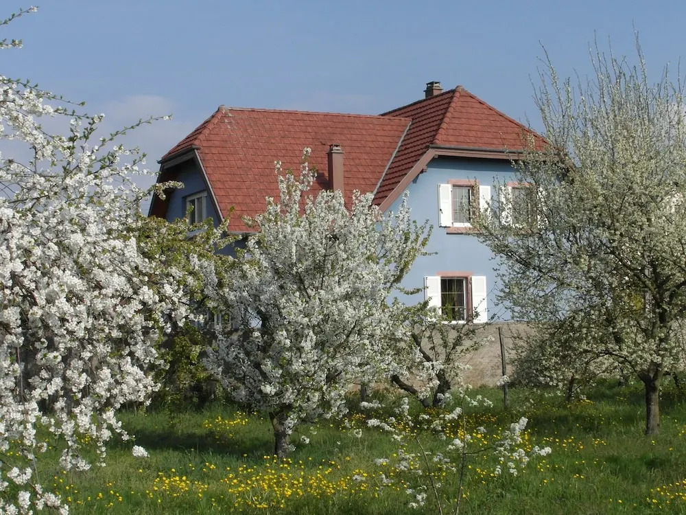 Gîte Halmer