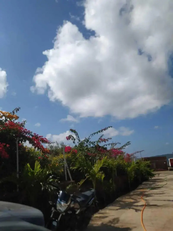 The Serenity Resort