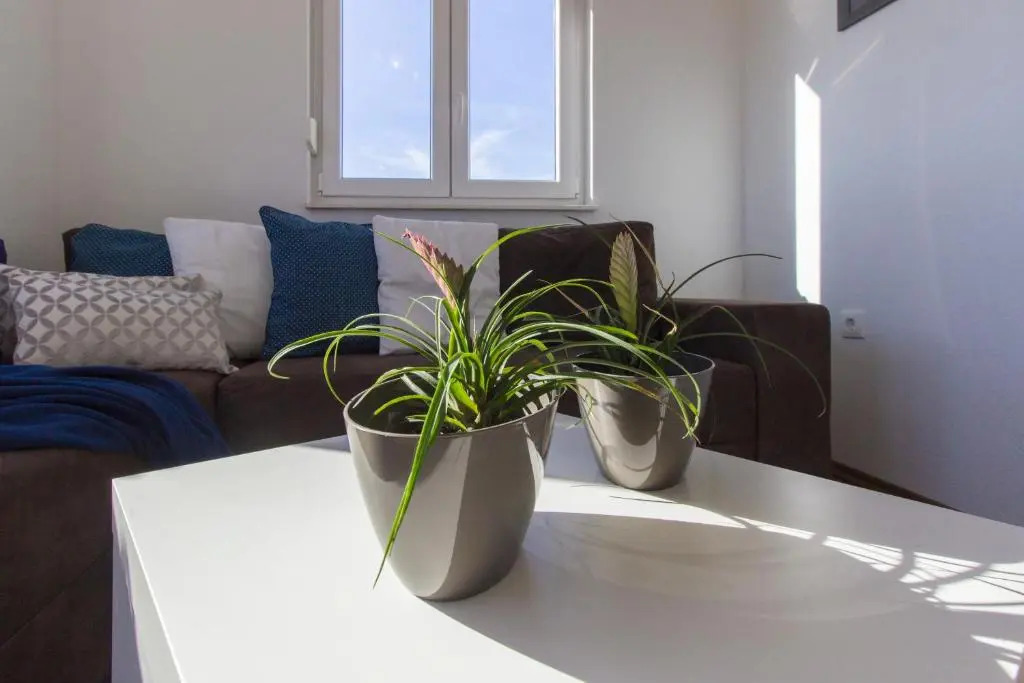 Apartments Gornje Starine