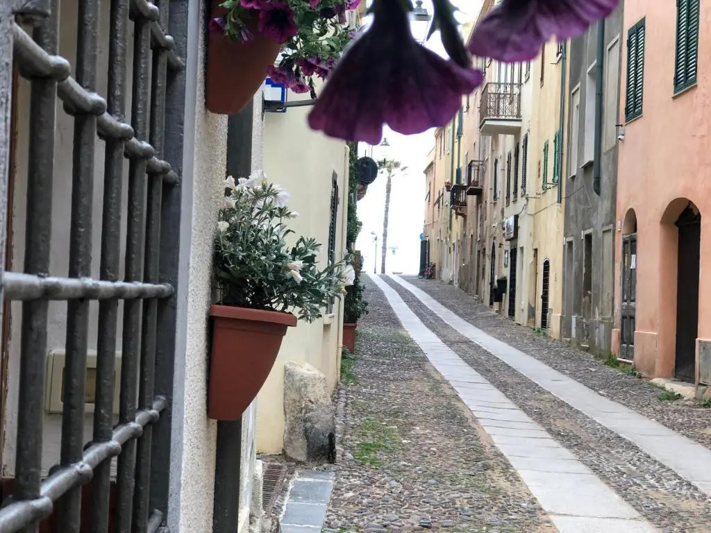 Cavour 84