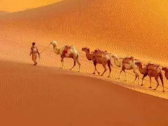 Zhongwei Moshang Fanxing Desert Star Watching Homestay