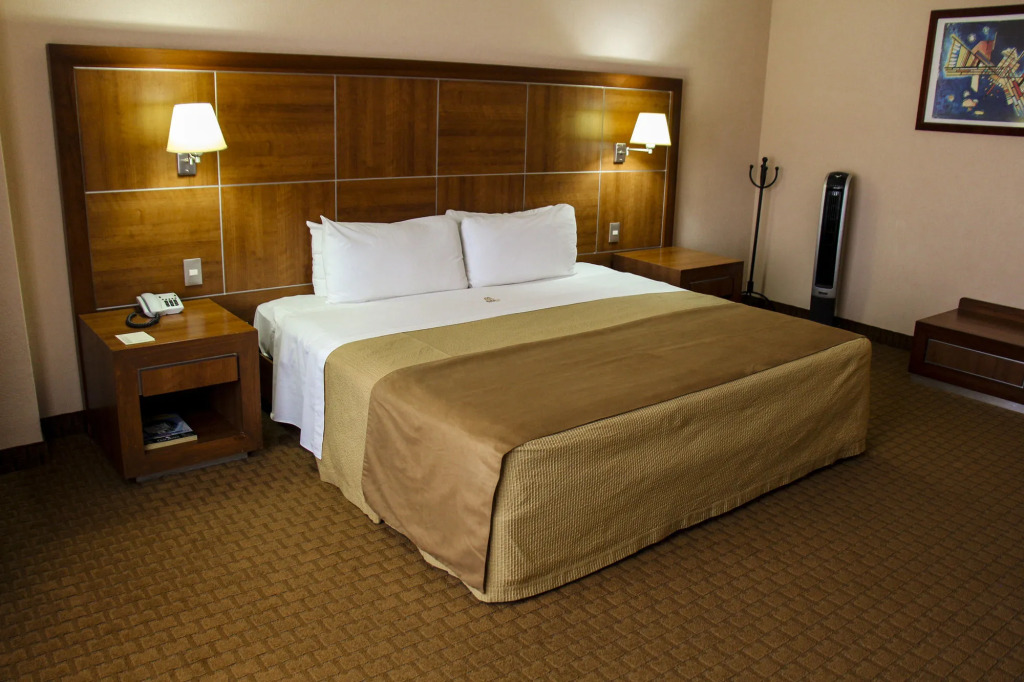 Hotel Soleil Business Class Celaya