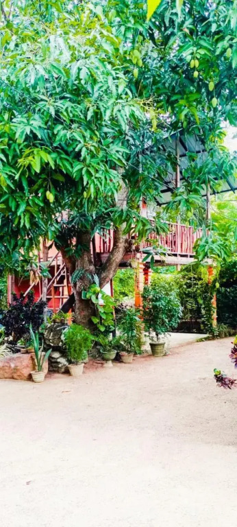 Sigiri Sky Home & TreeHouse