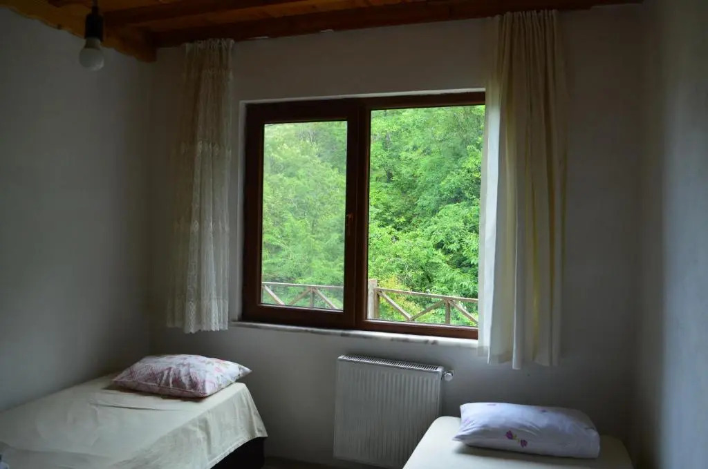 Trabzon green valley villa