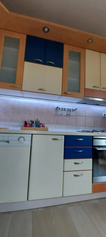 Apartment Vladan