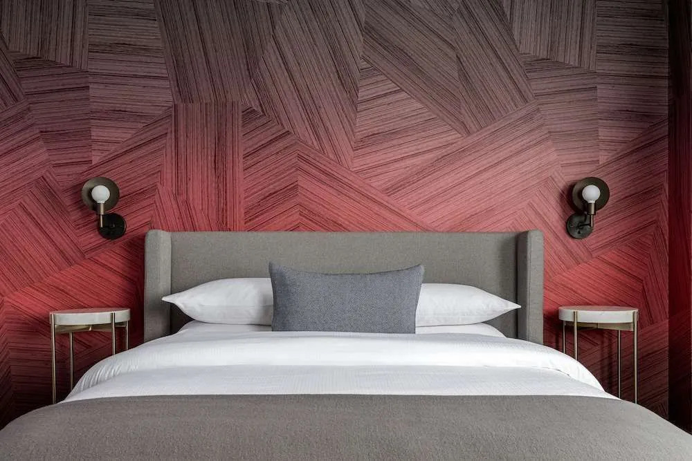 BLACK SWAN - Liz DC - Executive Flat