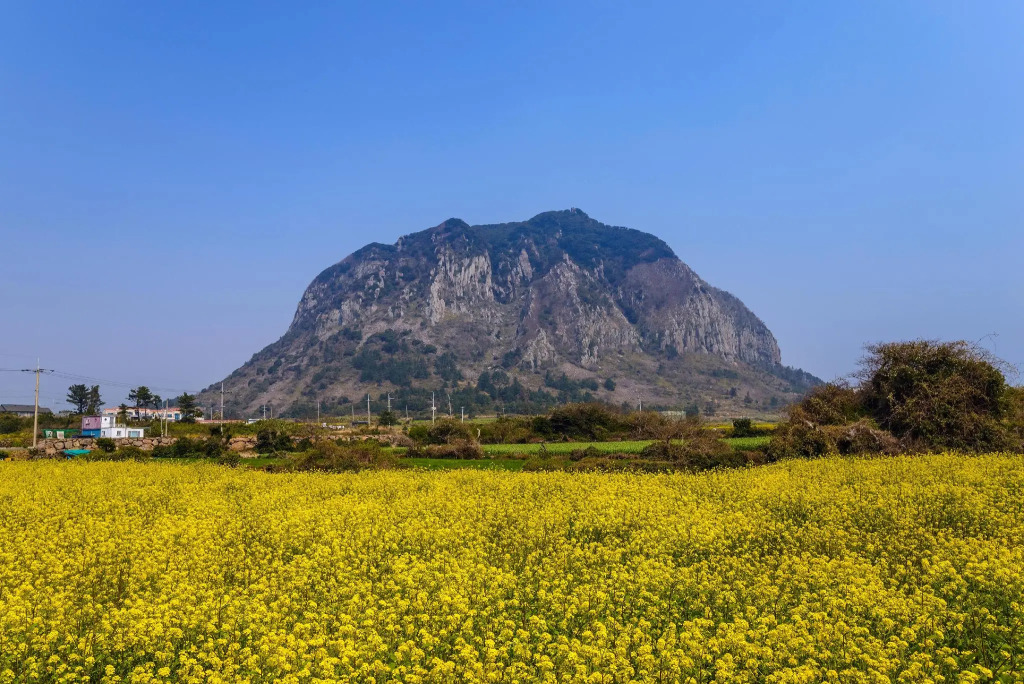 Seogwipo Lion Hill Pension