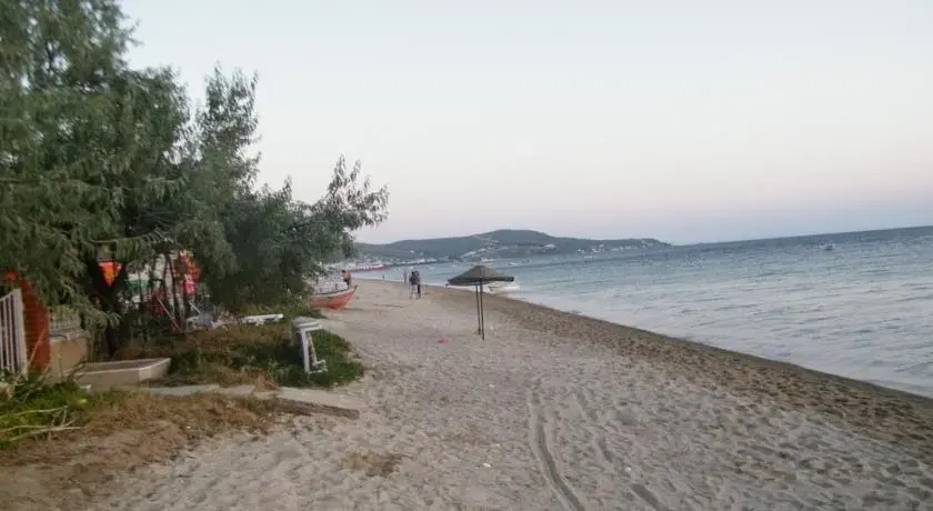 Gunes Yali