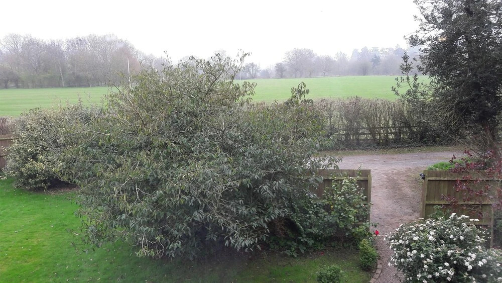 Little Brug B&B