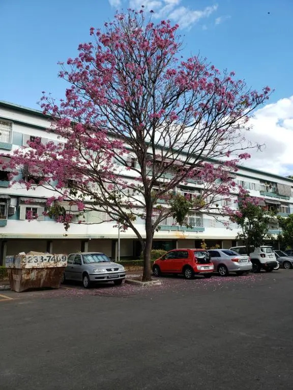 Suite mais 2 quartos no centro de Brasília!!! Wi-fi top!