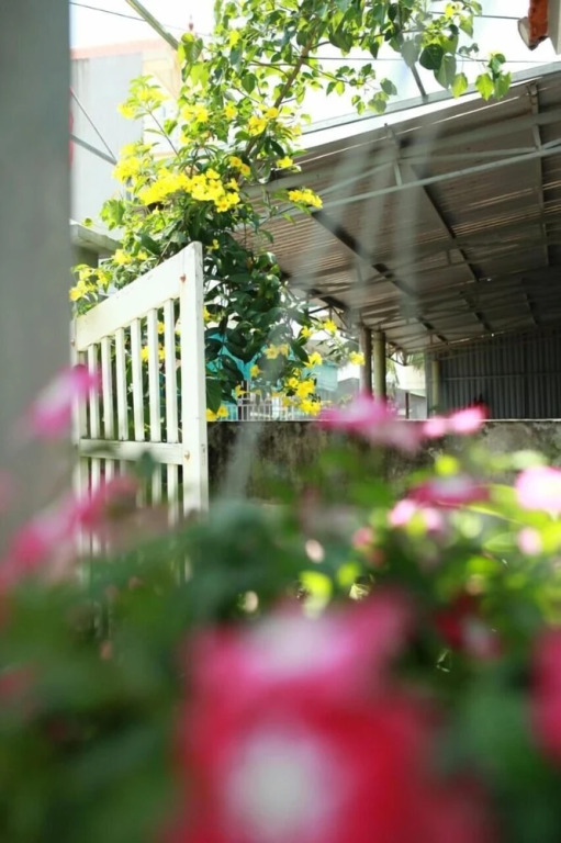 Mia's House - Hostel