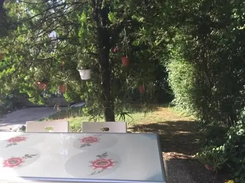 BB Casa Tomato