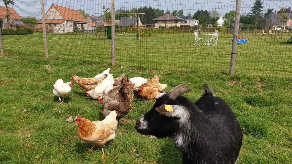 B&B t Meesterhof
