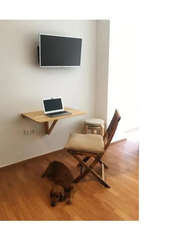 Kinfeels' downtown apartment B1
