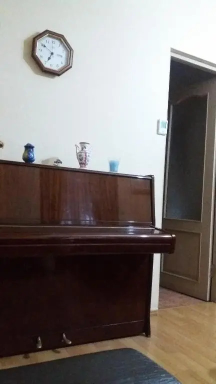 Irina's Apartment