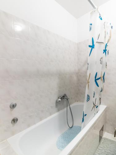 Apartment Viki