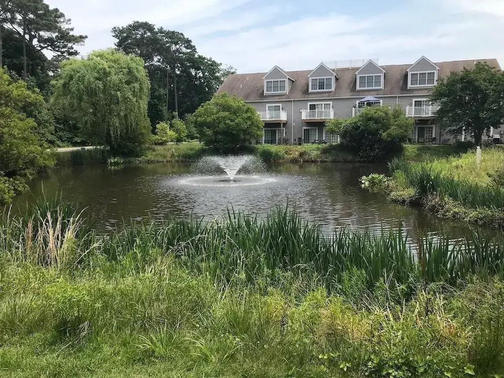 Nell Loop 32