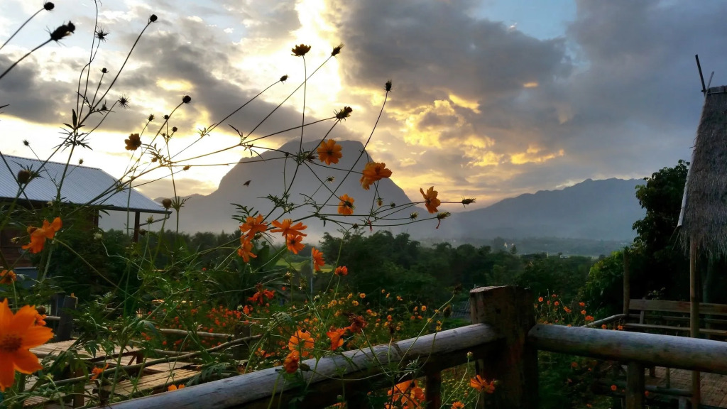 Baan AingDoi Homestay