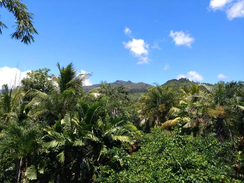 A Peace In Paradise