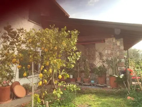Una Casa tra gli Olivi