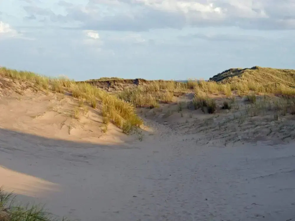 4 Person Holiday Home in Skagen-by Traum