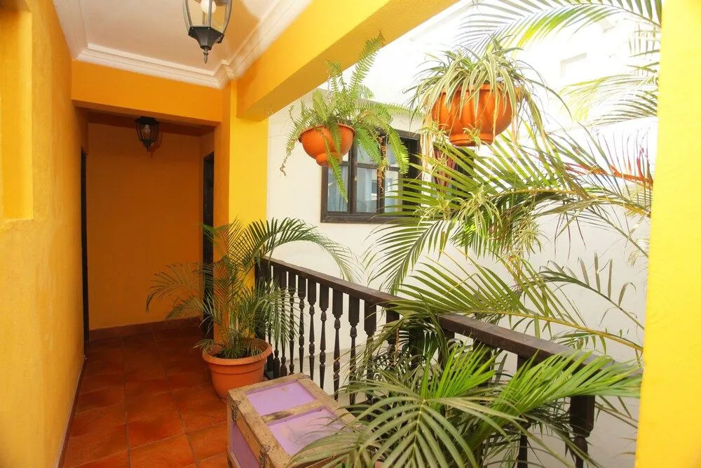 Casa Colonial PanaSurf