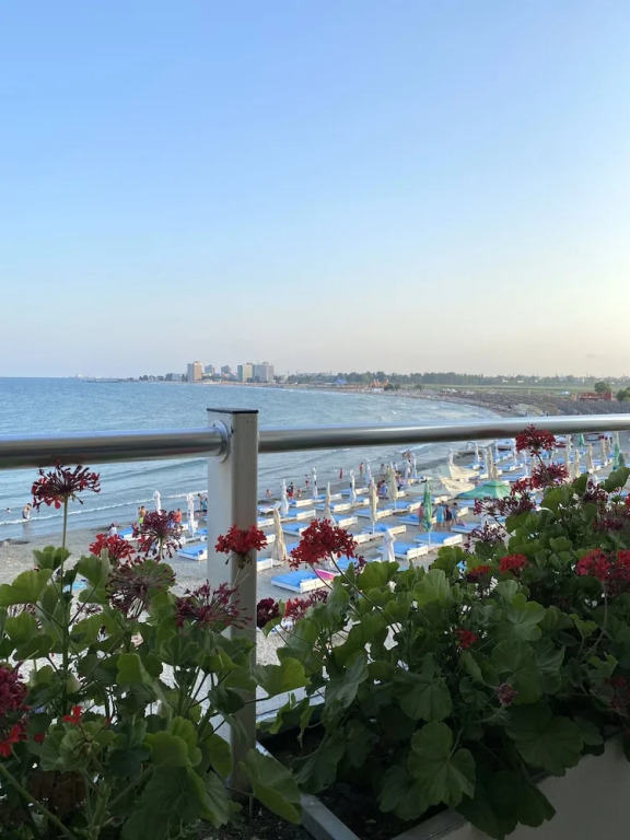 Palace Beach Resort